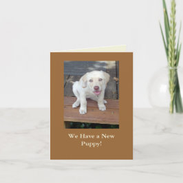 Wij hebben een Nieuwe Personaliseerbare Aankondiging