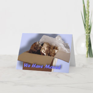 Wij hebben ons bewogen. Het opnieuw vestigen zich. Aankondiging