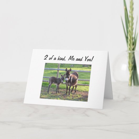 WIJ HEBBEN ZO VEEL IN DE TWEEDE KAART VAN DE GEMEE (Voorkant)