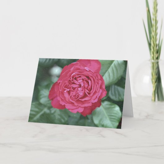 Wij helen samen aangezien wij houden van feestdagen kaart (Voorkant)