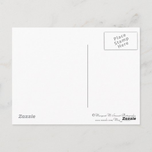 Wij, het Briefkaart van het volk (Achterkant)