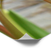 Wij houden van onze waardering voor het poster van (Hoek)