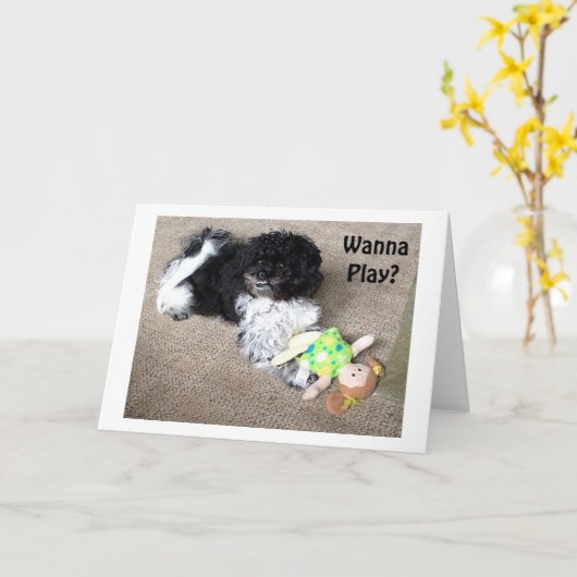 WIJ KUNNEN ALLES DOEN WAT U WILT VOOR UW VERJAARDA KAART (Gele Bloem)