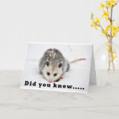 WIJ MUIZEN WETEN HOE TE FEESTEN - JA DAT DOEN WE! KAART (Gele Bloem)