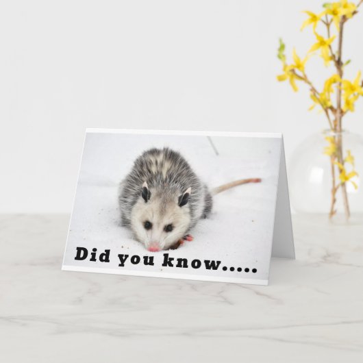 WIJ MUIZEN WETEN HOE TE FEESTEN - JA DAT DOEN WE! KAART (Gele Bloem)