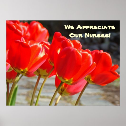 Wij waarderen onze verpleegkundigen! kunstprint po poster (Voorkant)