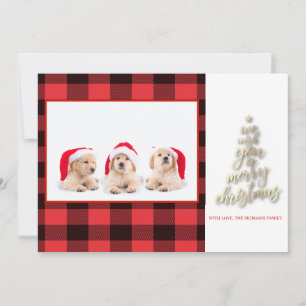 Wij wensen jullie een vrolijk kerstfeest Buffalo r