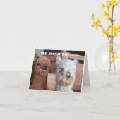 **WIJ** WENSEN **U** DE BESTE VERJAARDAG OOIT! KAART (Gele Bloem)