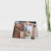 **WIJ** WENSEN **U** DE BESTE VERJAARDAG OOIT! KAART (Voorkant)