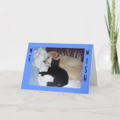 WIJ WENSEN U EEN MOOIE VERJAARDAG KAART (Voorkant)