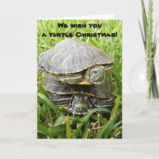 Wij wensen u een schildpad Kerstmis! Feestdagen Kaart (Voorkant)