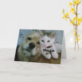 WIJ WILLEN BEIDE "JULLIE" EEN ZEER HUIDIGE "BIRTHD KAART (Gele Bloem)