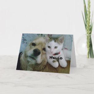 WIJ WILLEN BEIDE "JULLIE" EEN ZEER HUIDIGE "BIRTHD KAART