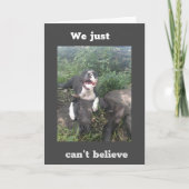 WIJ WILLEN ZEGGEN **HAPPY 40th BIRTHDAY** Card Kaart (Voorkant)