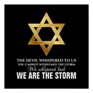 WIJ ZIJN DE STORM POSTER