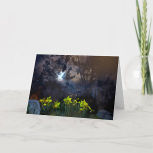 Wij zijn eigenaar van de nacht kaart