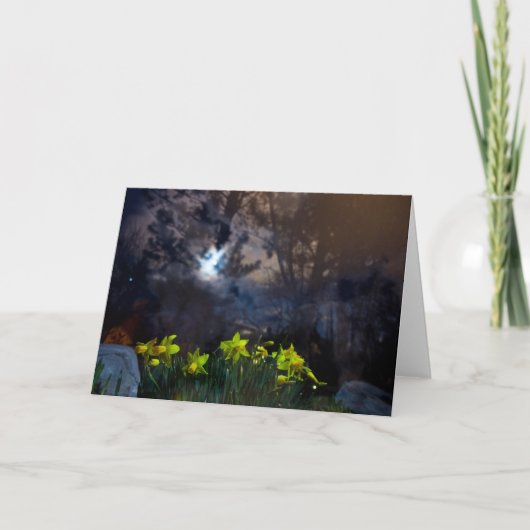 Wij zijn eigenaar van de nacht kaart (Voorkant)