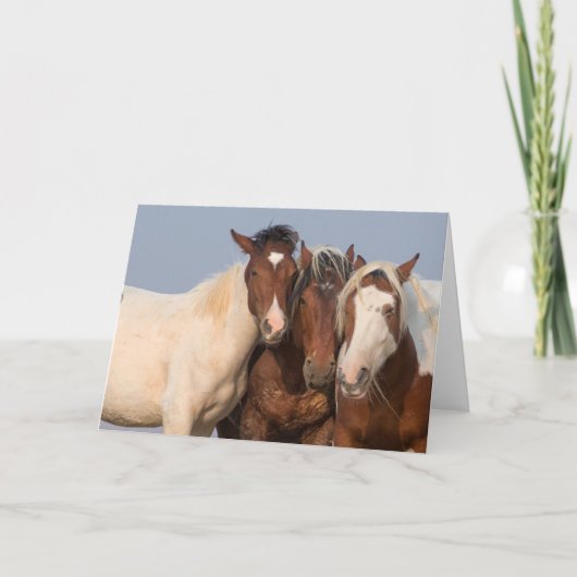 "Wij zijn familie" Opmerking Kaart (Voorkant)