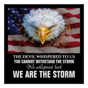 WIJ ZIJN HET STORM POSTER