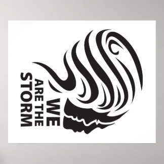 Wij zijn het Storm Poster