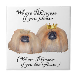 Wij zijn Pekingees Tegeltje