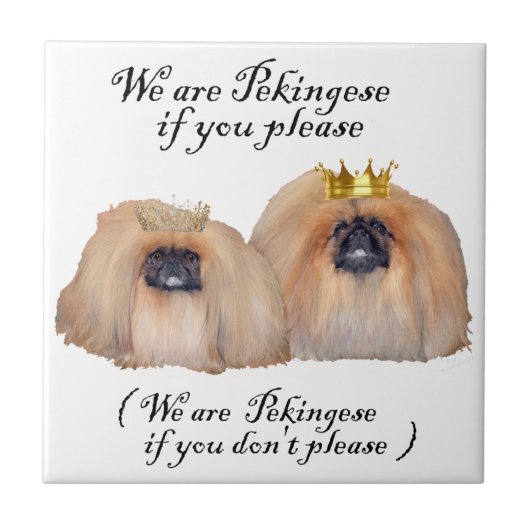 Wij zijn Pekingees Tegeltje (Voorkant)