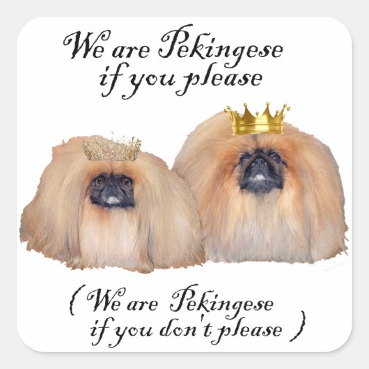 Wij zijn Pekingees Vierkante Sticker (Voorkant)
