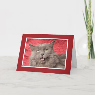 Wij zijn Purrfect voor Gepersonaliseerde Eachother Feestdagen Kaart