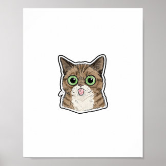 Wijdogige Kitten Poster