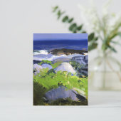 Wijn begroeide kust, Monhegan Island, Maine, Briefkaart (Staand voorkant)