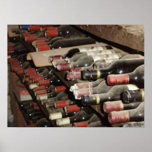 Wijn Cellar Poster