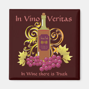 Wijn en druiven magneet