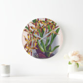  wijn en geel orchidee Odontoglossum Cuspida Grote Klok (Huis)