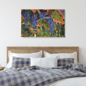 Wijn Land Kunst Canvas Wijngaard (Insitu (Slaapkamer))