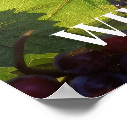 Wijn Land Poster (Hoek)