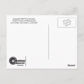 Wijn op advertentie briefkaart (Achterkant)