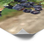 Wijn op de wijn poster (Hoek)