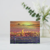 Wijn-wijngaarden Briefkaart (Staand voorkant)