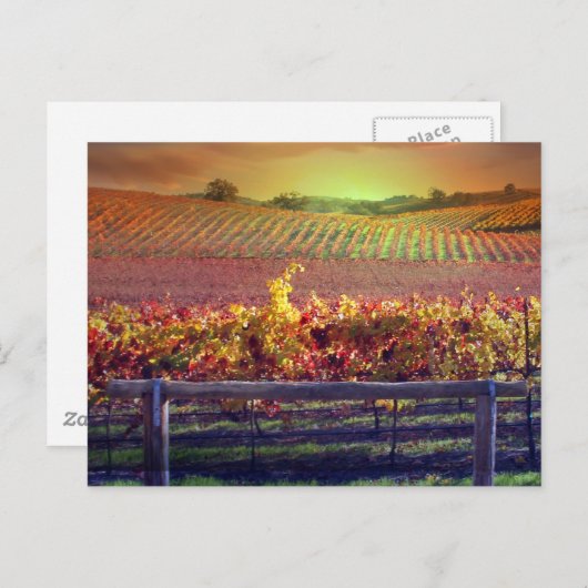 Wijn-wijngaarden Briefkaart (Voorkant / Achterkant)