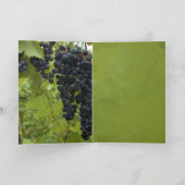 Wijn Wineyard Theme Weddenschap (Binnen)