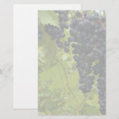 Wijn Wineyard Theme Weddenschap Briefpapier (Voorkant / Achterkant)