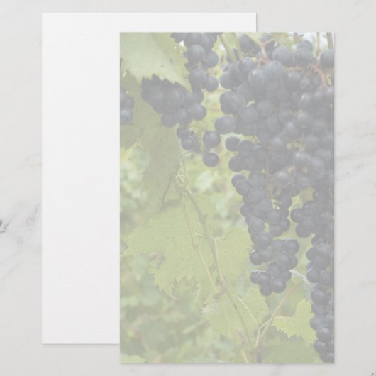 Wijn Wineyard Theme Weddenschap Briefpapier (Voorkant / Achterkant)