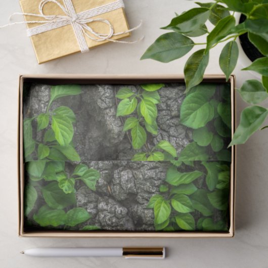 Wijnbedekte boom tissuepapier (Geschenk)