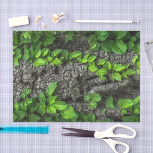 Wijnbedekte boom tissuepapier (Craft)