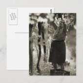 Wijnbereiding Wijnoogst 3 Briefkaart (Voorkant / Achterkant)