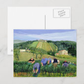 Wijnboomolijven en zonnebloemen briefkaart (Voorkant / Achterkant)