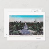 Wijnbouwschaal van druiven DryingKingsburg, CA Briefkaart (Voorkant / Achterkant)