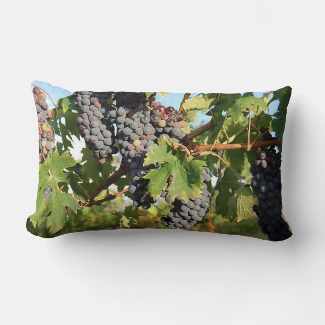 Wijndruiven Aan De Wijnstok Kussen (Voorkant)