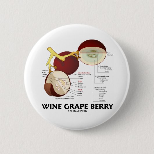 Wijndruiven Berry (anatomie) Ronde Button 5,7 Cm (Voorkant)