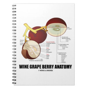 Wijndruiven Berry Anatomy Scientific Diagram Notitieboek